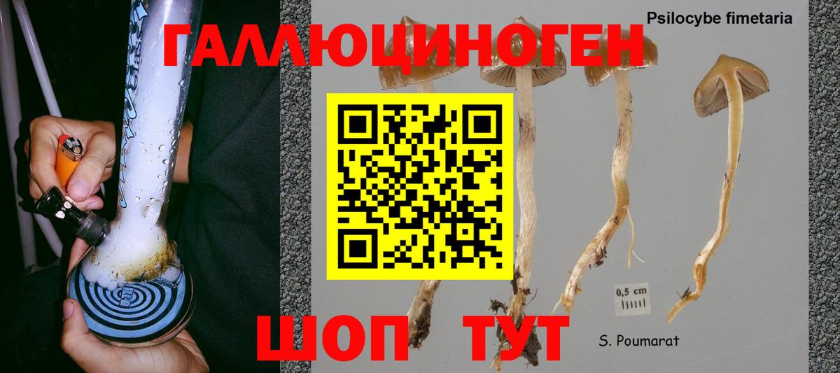 Псилоцибиновые грибы мухоморы  Вход с VPN  Нижний Тагил 